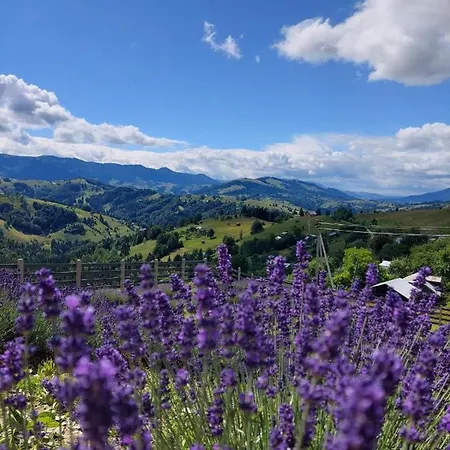 Lavender Valley Perekrestnoye Exterior photo