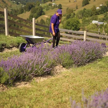 Lavender Valley Perekrestnoye Exterior photo
