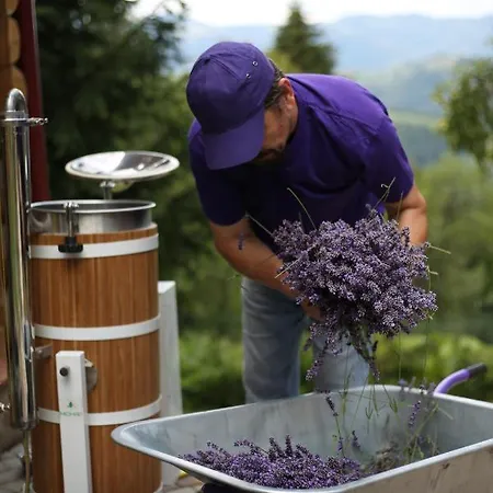 Lavender Valley Perekrestnoye Exterior photo