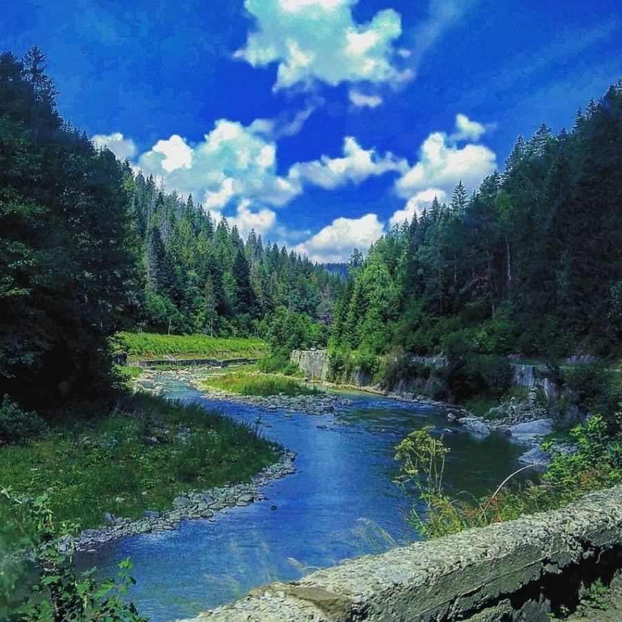Lavender Valley