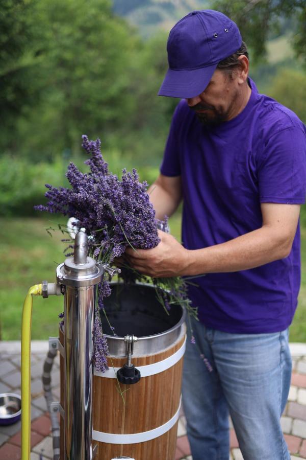 Lavender Valley *
