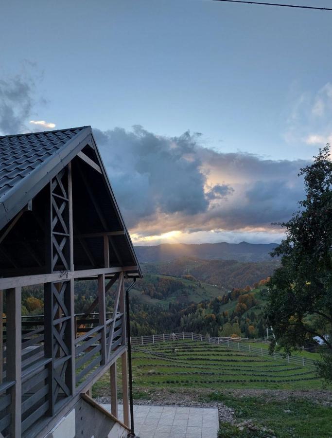Chalet Lavender Valley