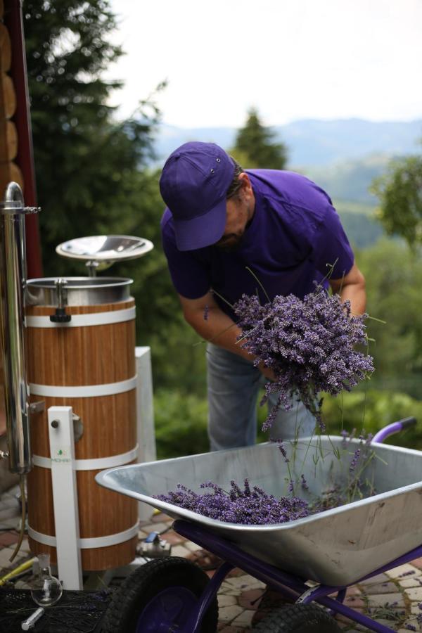 Lavender Valley Chalet Perekrestnoye