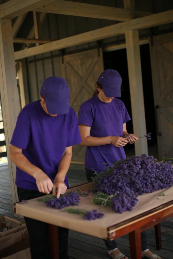 Lavender Valley Chalet *